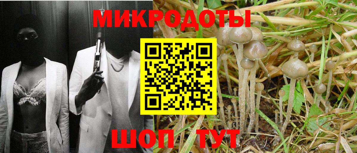 Галлюциногенные грибы прущие грибы Абинск
